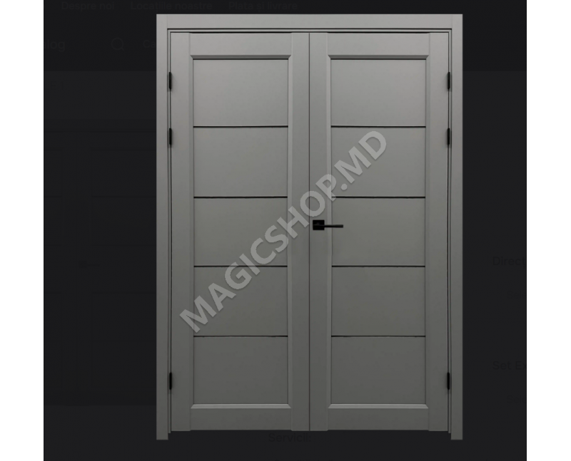 Usa interior STYLE 1 (120x200 cm) Agat Gri